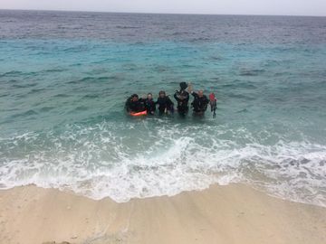 Plongée Tolo, Kralendijk - Bonaire — photo 3