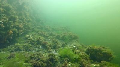 Plongée Forme 4, Dunkerque - France — photo 2