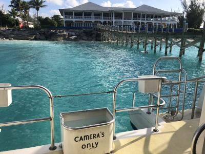 Plongée Vyki's reef, Bahamas — photo 5