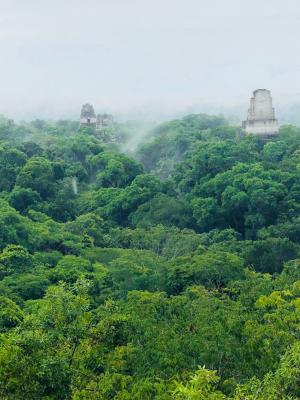 Jour 14 : Tikal, ensemble de temples maya, Tikal - Guatemala — photo 3