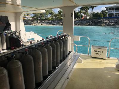 Plongée Vyki's reef, Bahamas — photo 2