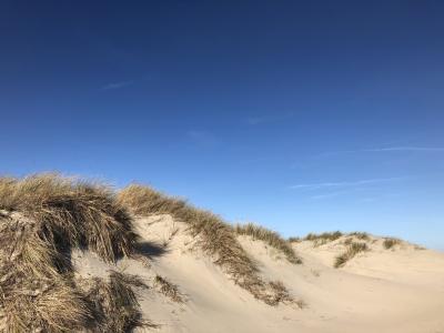 Ballade sur la jetée ouest, Dunkerque - France — photo 4