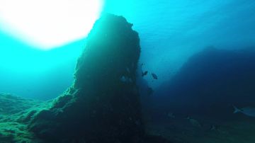 Plongée Le Cap des Mèdes, Hyères - France — photo 3