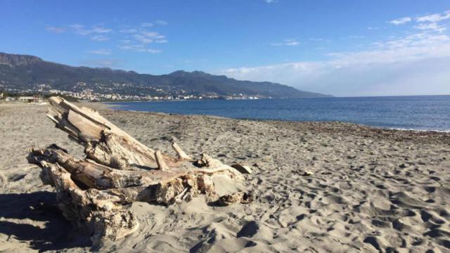 La plage de la Marana, Furiani - France — photo 4