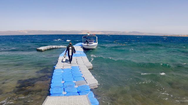 Plongée C-130 wreck, Aqaba - Jordanie — photo 3