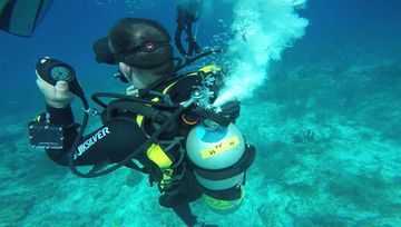 Plongée Angel City, Kralendijk - Bonaire — photo 2