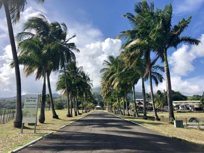 Distillerie Depaz, Saint-Pierre - Martinique — photo 3