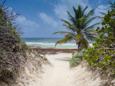Le site de l'Unesco : Sian Ka'an