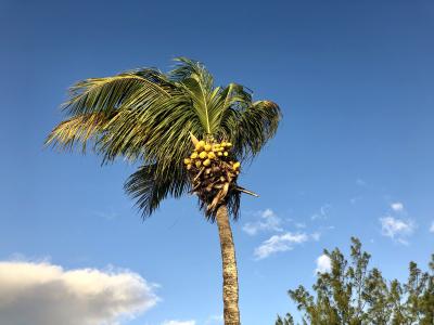 Samedi jour de pluie, San Salvador - Bahamas — photo 4