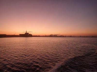 Plongée Havant, Dunkerque - France — photo 3