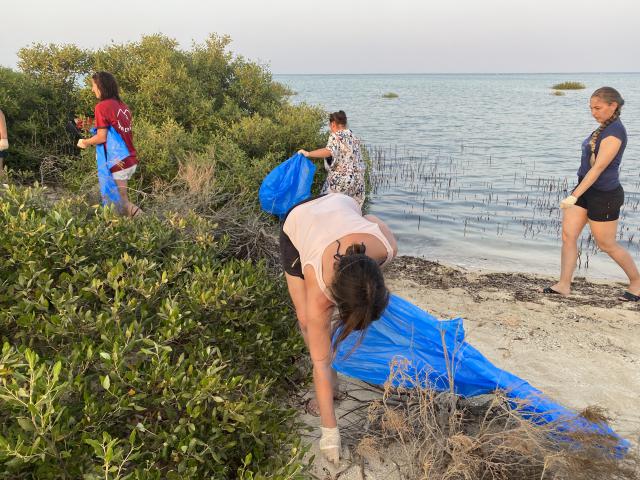 Opération de nettoyage de la mangrove avec le staff, Red Sea Governorate - Egypte — photo 5
