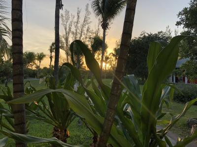 Début des plongées et soirée fluo, San Salvador - Bahamas — photo 5