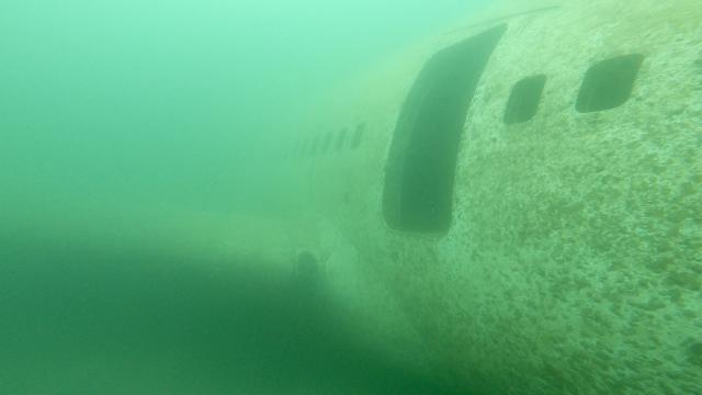 Plongée Tristar wreck, Aqaba - Jordanie — photo 3