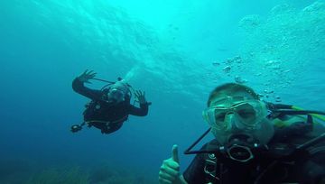 Plongée Vista Blue, Kralendijk - Bonaire — photo 4