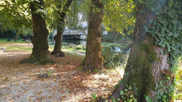Plongée Douix de Chatillon, Châtillon-sur-Seine - France — photo 3