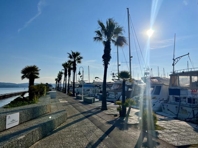 Plongée Hellcat, Cavalaire-sur-Mer - France — photo 5