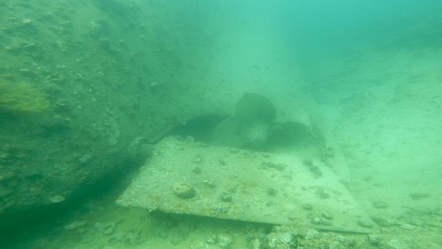 Plongée Cedar Pride Wreck, Aqaba - Jordanie — photo 5