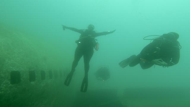 Plongée Tristar wreck, Aqaba - Jordanie — photo 5