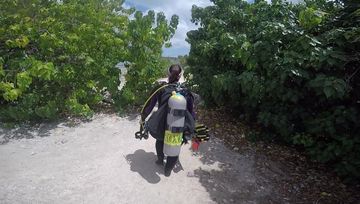 Plongée Andrea 1, Kralendijk - Pays-Bas caribéens — photo 3
