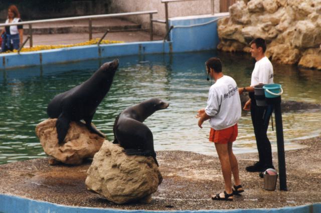 Marineland, Antibes - France — photo 4