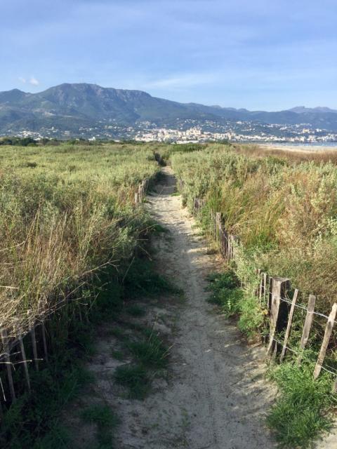 La plage de la Marana, Furiani - France — photo 3