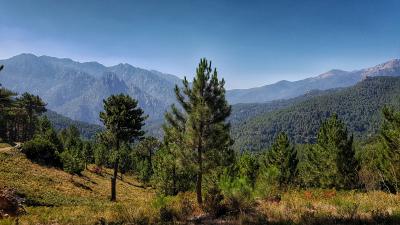 Ballade en 4×4, visite de Corse, Ghisoni - France — photo 3