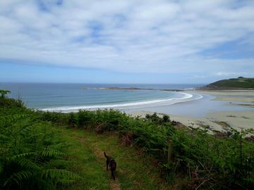 Plougasnou , Plougasnou - France — photo 2
