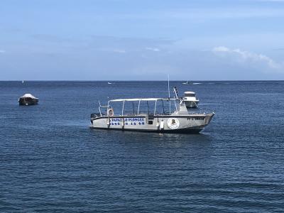 Plongée Roraima, Saint-Pierre - Martinique — photo 2