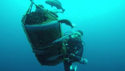 Plongée Haven, Italie — photo 3