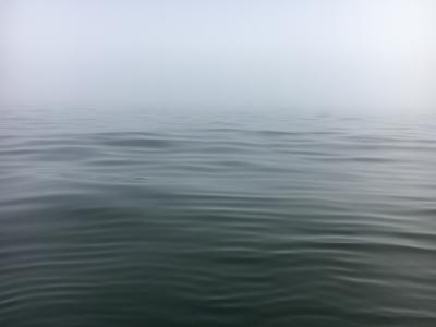 Plongée Bateau-feu, Dunkerque - France — photo 4