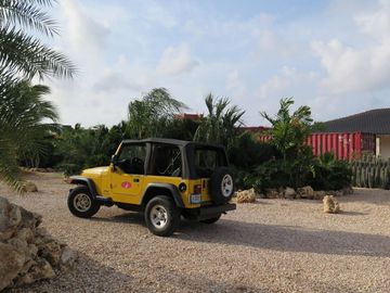 Premier jour de plongée, Kralendijk - Pays-Bas caribéens — photo 2