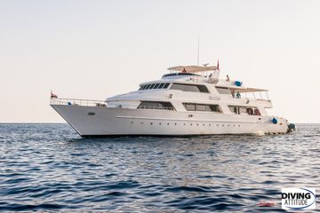 Croisière Latitude 27 - Nord et Brothers sur l'Atlantis — photo 3
