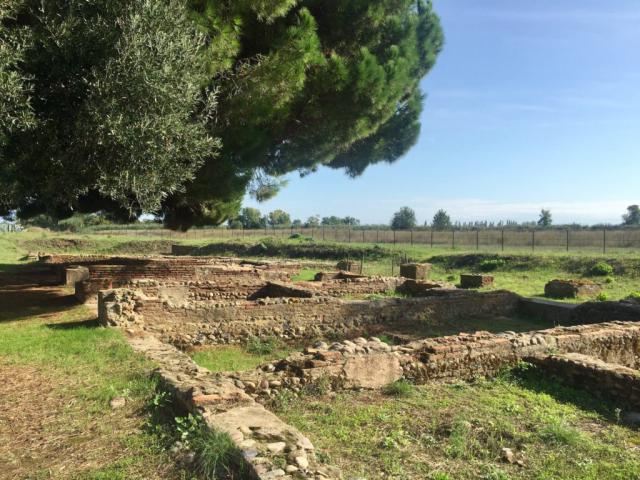 Le site archéologique de Mariana, Lucciana - France — photo 2