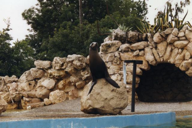 Marineland, Antibes - France — photo 3