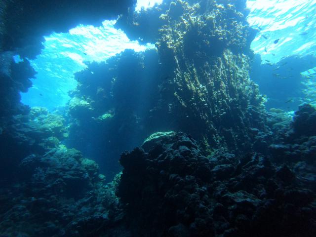 Plongée Sha'ab Claudia, Red Sea Governorate - Égypte — photo 3