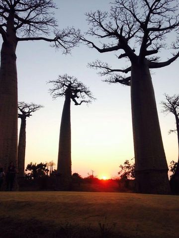 Bekopaka - Morondava  — photo 2