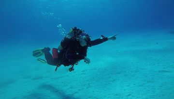 Plongée Invisibles, Kralendijk - Bonaire — photo 2