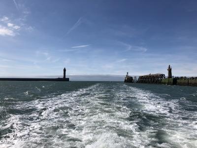 Plongée Wolf, Dunkerque - France — photo 5