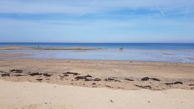 J3 - Pêche à pied et découverte des dunes, Blainville-sur-Mer - France — photo 5