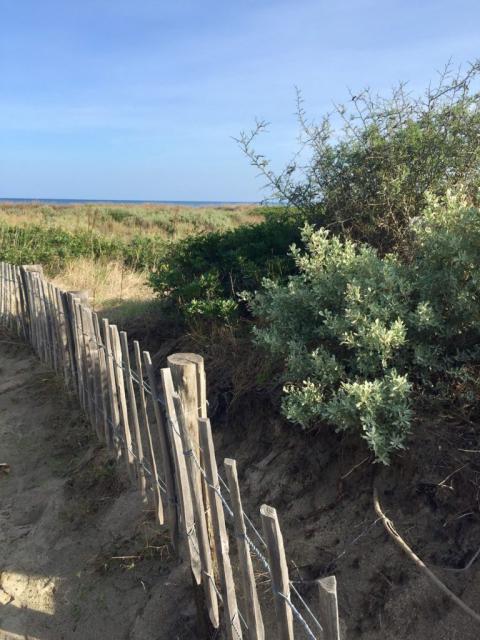 La plage de la Marana, Furiani - France — photo 2