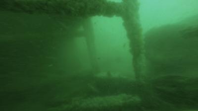 Plongée Scotia, Dunkerque - France — photo 4
