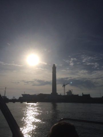 Plongée Wolf, Dunkerque - France — photo 3
