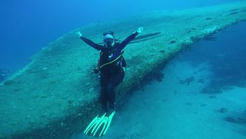 Plongée Hilma Hooker, Bonaire — photo 3