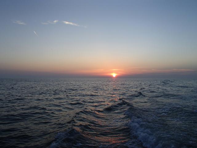 Havant