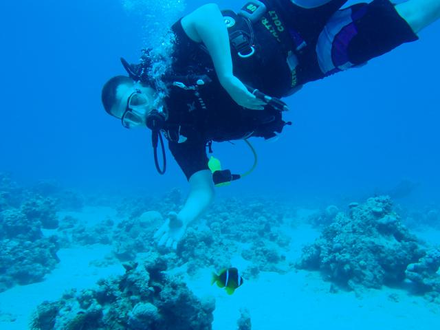 Pharaon Island