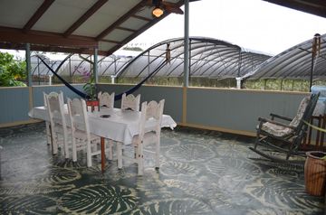 Départ de Oahu pour Big Island et découverte de notre maison dans la jungle tropicale