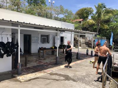 Plongée Le Nahoon, Les Trois-Îlets - Martinique — photo 5