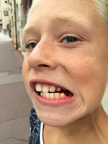 4è jour : de Chalon sur Saone à Bar sur Seine — photo 4