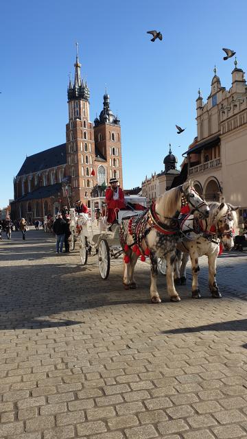 J2 - Cracovie et ses visites