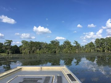 Houston Texas  — photo 3